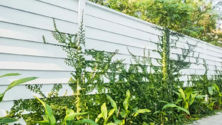 Vinyl fencing homestead in FL